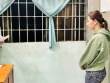 Án mạng từ việc dẫn chó đi vệ sinh trước nhà hàng xóm