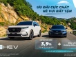 Honda khuyến mại lớn các dòng xe ô tô trong tháng 6