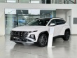 Cận cảnh dòng SUV "ăn khách" Hyundai Tucson, giá từ 769 triệu đồng