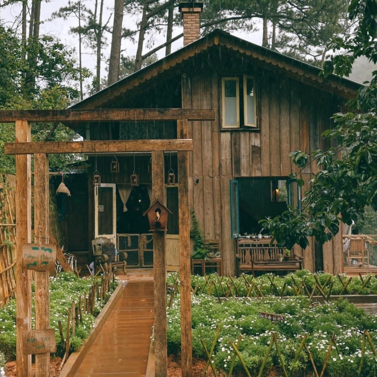 Ảnh Trần Văn Thế