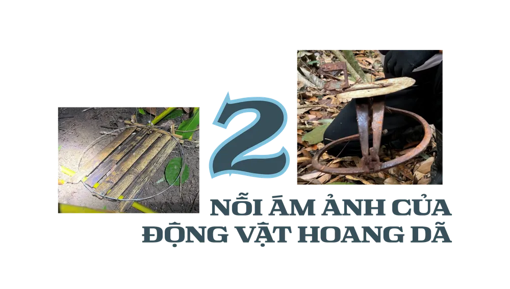Điều tra: Mục sở thị &#39;ma trận&#39; bẫy thú ở Vườn quốc gia Cát Tiên - 5