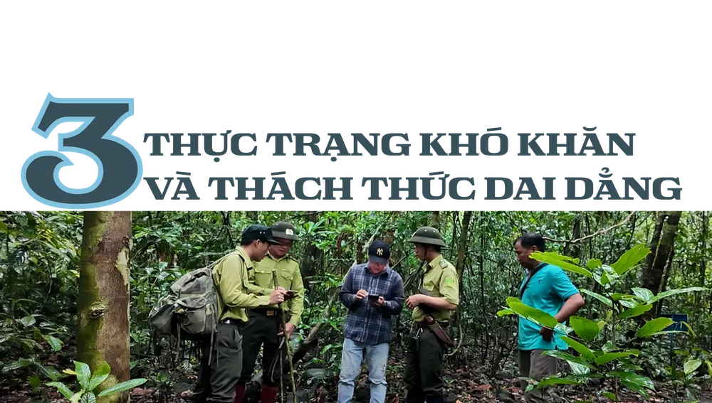 Điều tra: Mục sở thị &#39;ma trận&#39; bẫy thú ở Vườn quốc gia Cát Tiên - 9