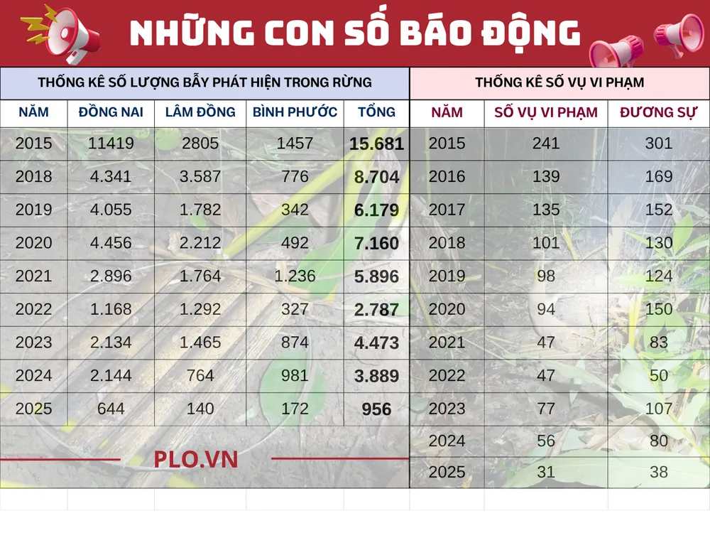 Điều tra: Mục sở thị &#39;ma trận&#39; bẫy thú ở Vườn quốc gia Cát Tiên - 10