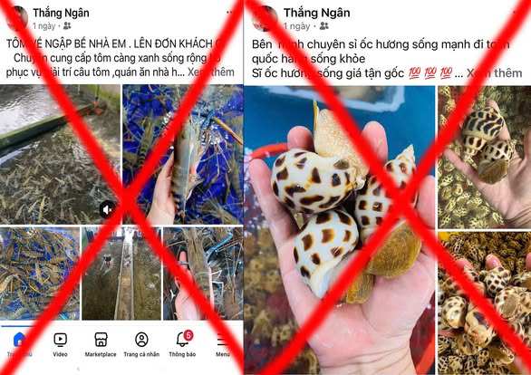 Thắng và Mai rao bán hải sản trên mạng xã hội. Ảnh: Công an cung cấp