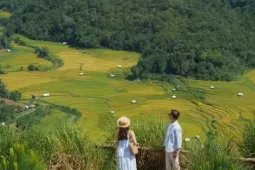 Về Kon Tu Rằng ngắm mùa lúa chín đẹp như tranh vẽ