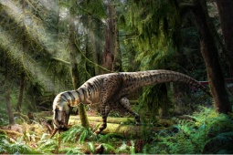 Phát hiện loài khủng long mới là anh em họ với bạo chúa T. Rex