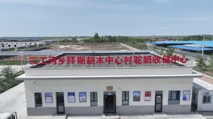 Kho thu gom sữa lạc đà ở San Jiang He