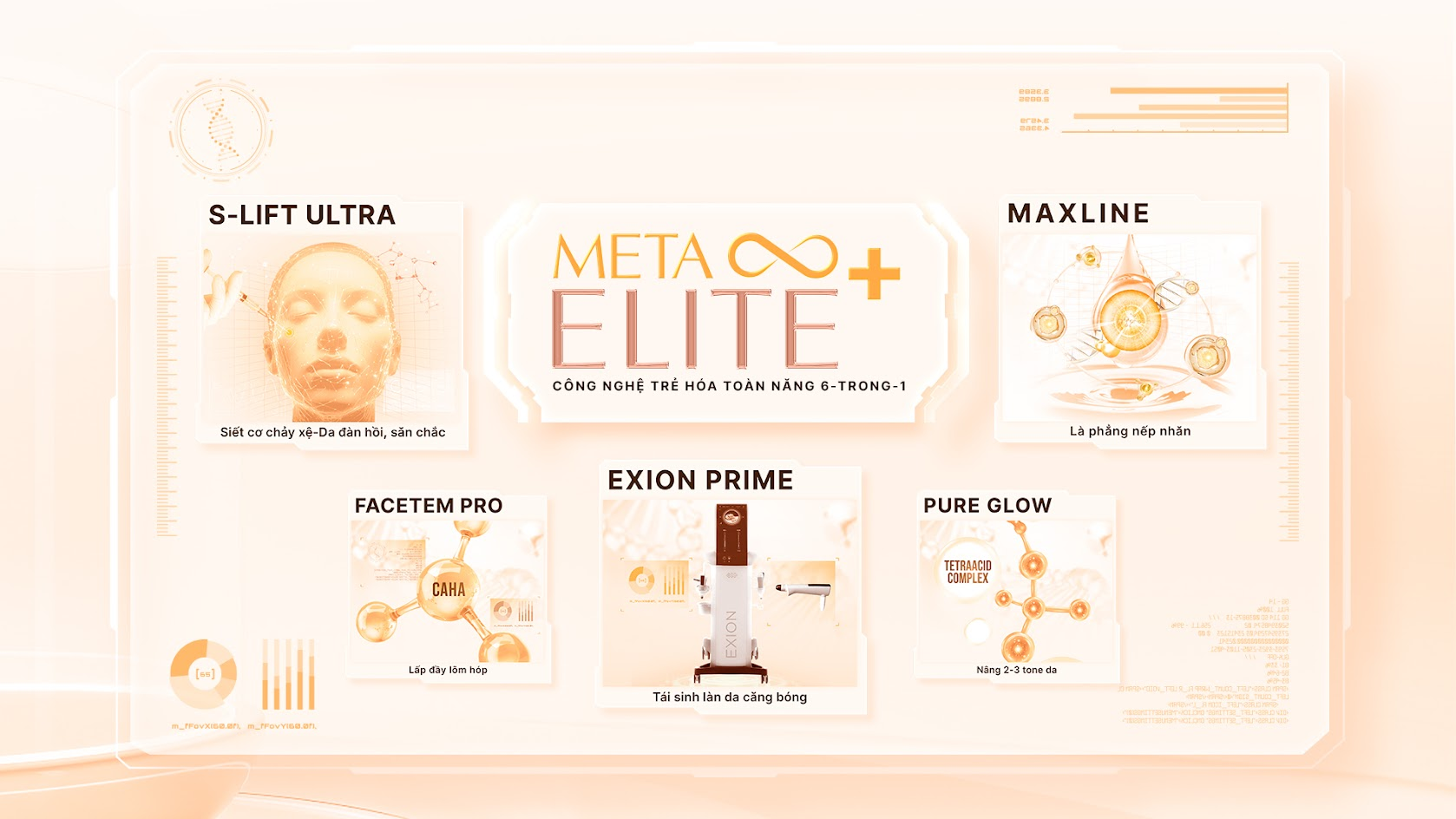 Meta Elite+ phiên bản 2025: Trẻ hóa đa tầng - Chạm đến gốc rễ của lão hóa - 2