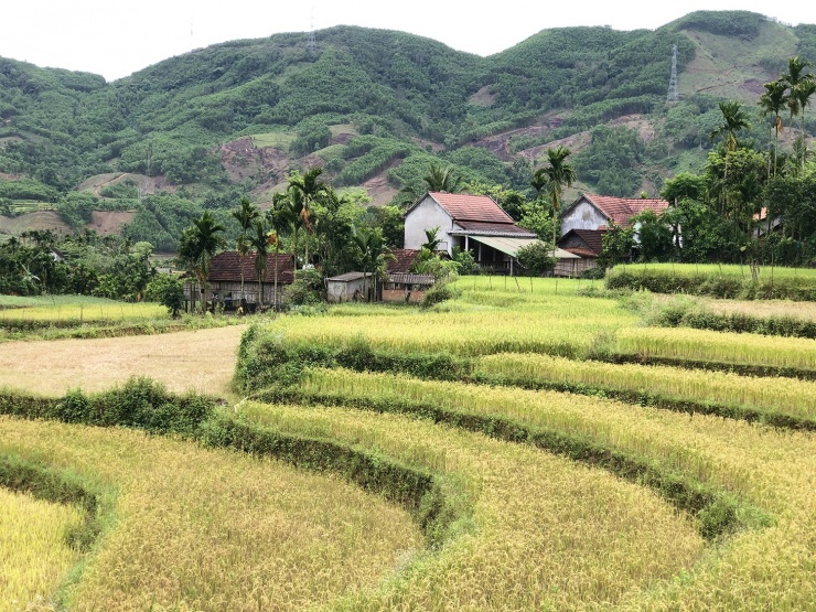 Trong những ngôi nhà ấy, mong rằng "họ đang sống cuộc sống yên bình".