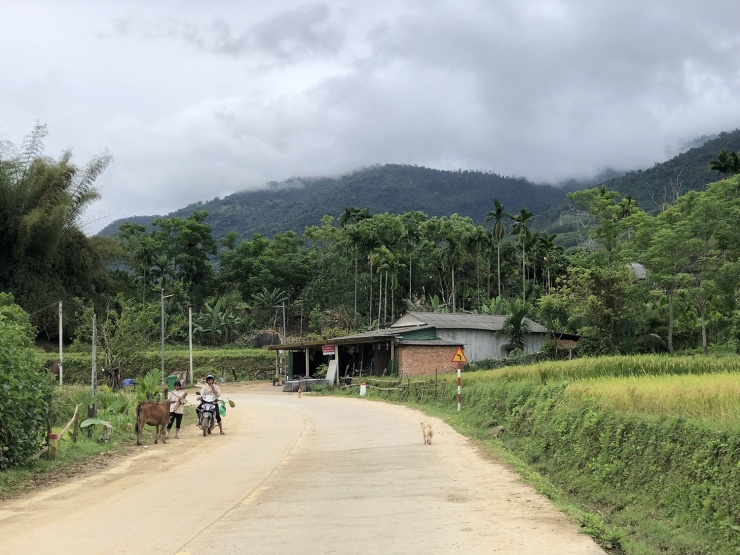 Cuộc sống cứ vậy mà bình lặng trôi qua.