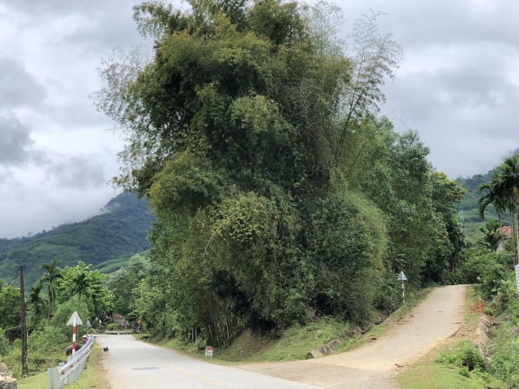 Chặng đường xa với những ngả rẽ bất ngờ thú vị.