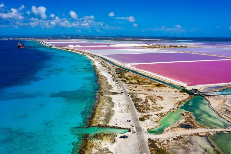 Những cánh đồng muối hồng trên đảo Bonaire. Ảnh: Lonely Planet