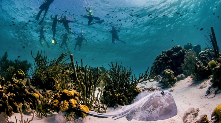 Lặn biển là một trong những lý do thu hút du khách đến Bonaire. Ảnh: Expedia