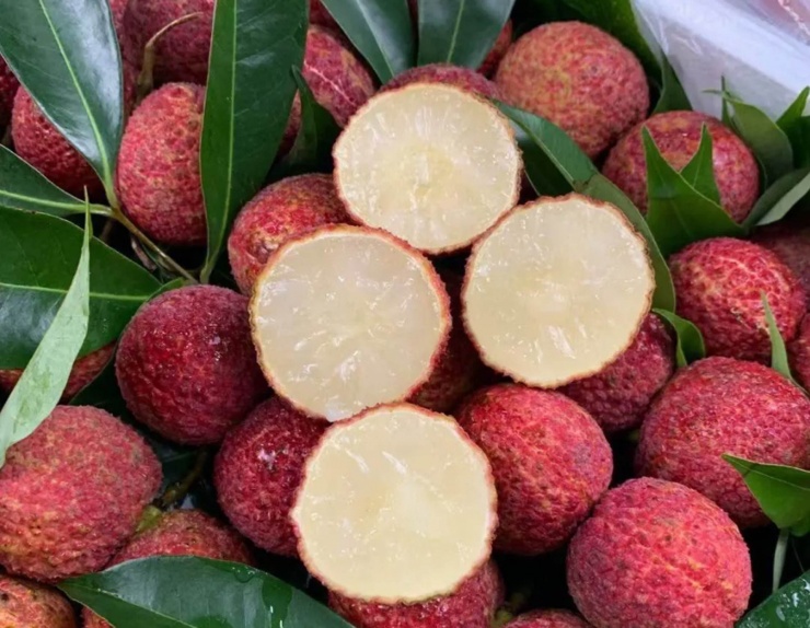 Theo các chuyên gia Trung Quốc, loại vải không hạt này có nhiều yếu tố dinh dưỡng cao. Ảnh: Baidu