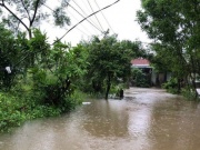 Tin tức trong ngày - Trên đường đi giúp con chống lũ, người cha bị điện giật tử vong