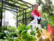 Đàm Vĩnh Hưng trồng trọt ở biệt thự 500 m2