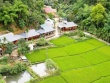 Bản làng ẩn mình trong thung lũng ở Thanh Hóa hút du khách tới trải nghiệm