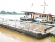 Nối lại cầu phao Phong Châu
