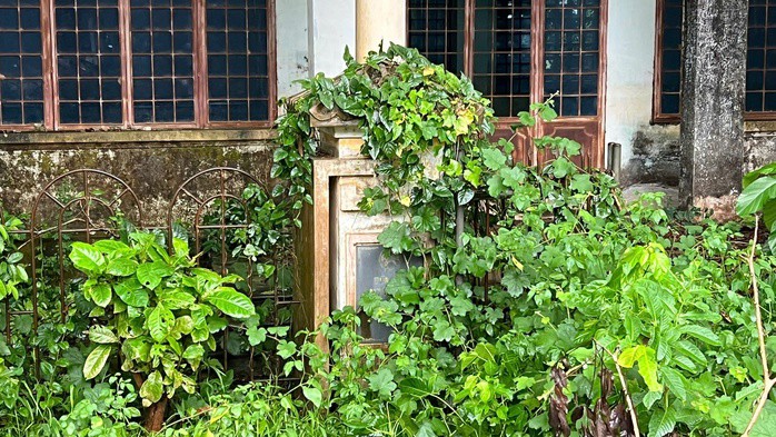 Bí ẩn những ngôi nhà hoang ven Quốc lộ 49 ở cố đô Huế - 4