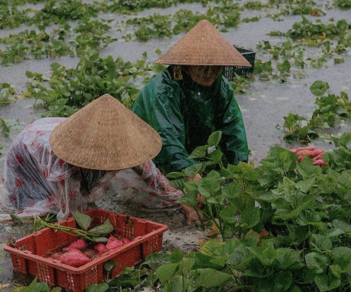 Bão số 1 gây mưa kỷ lục ở Quảng Nam, Quảng Trị, hàng ngàn người đi sơ tán - 2