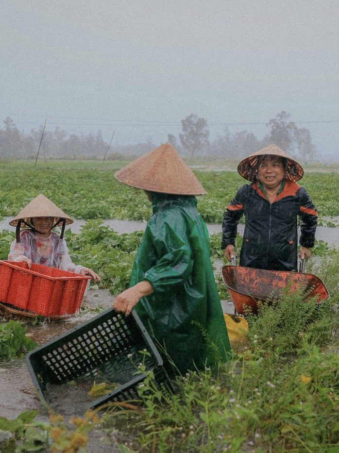 Bão số 1 gây mưa kỷ lục ở Quảng Nam, Quảng Trị, hàng ngàn người đi sơ tán - 3