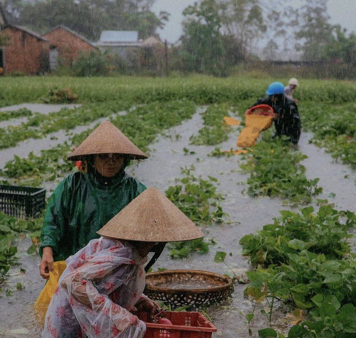 Bão số 1 gây mưa kỷ lục ở Quảng Nam, Quảng Trị, hàng ngàn người đi sơ tán - 1