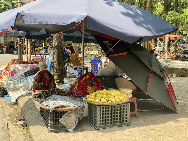 Trên thị trường, chanh dây được bày bán khắp nơi, người tiêu dùng có thể dễ dàng mua được.