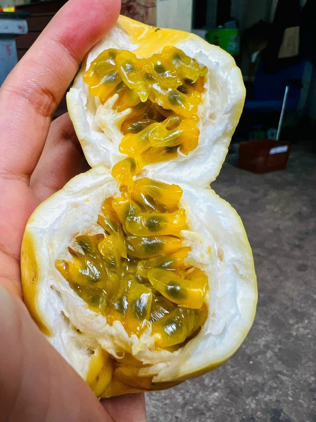 Loại trái này không chỉ bắt mắt mà còn nổi tiếng với hương vị ngọt ngào, thơm mát và ít chua hơn so với các giống chanh dây khác.