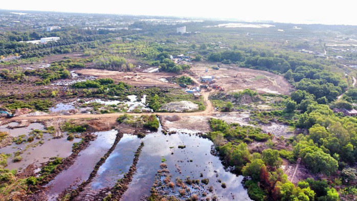 Một phần khu vực đầm lầy của dự án