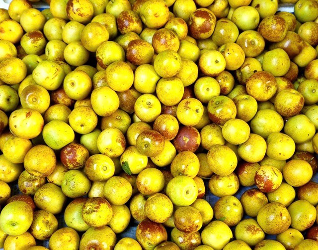 Nhiều người cho rằng, vào chính vụ hồng táo tươi giá sẽ hạ nhiệt, chỉ trên dưới 100.000 đồng/kg. Ảnh: Quỳnh Mai.