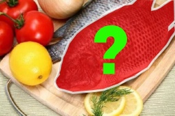Tin tức sức khỏe - Việt Nam có 1 loại cá mệnh danh là &quot;gà nước&quot;, thịt thơm ngon lại là “thuốc đại bổ” xương khớp