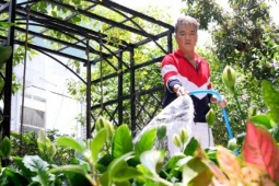 Đàm Vĩnh Hưng trồng trọt ở biệt thự 500 m2