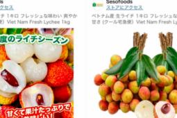 Giá vải thiều Việt Nam bán trên Amazon Nhật Bản giá nửa triệu đồng/kg