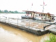 Nối lại cầu phao Phong Châu