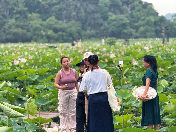 Đầm sen chưa kịp nở, hội mê ảnh đẹp đã ùn ùn đổ về Hang Múa check-in cực &#39;cháy&#39; - 12
