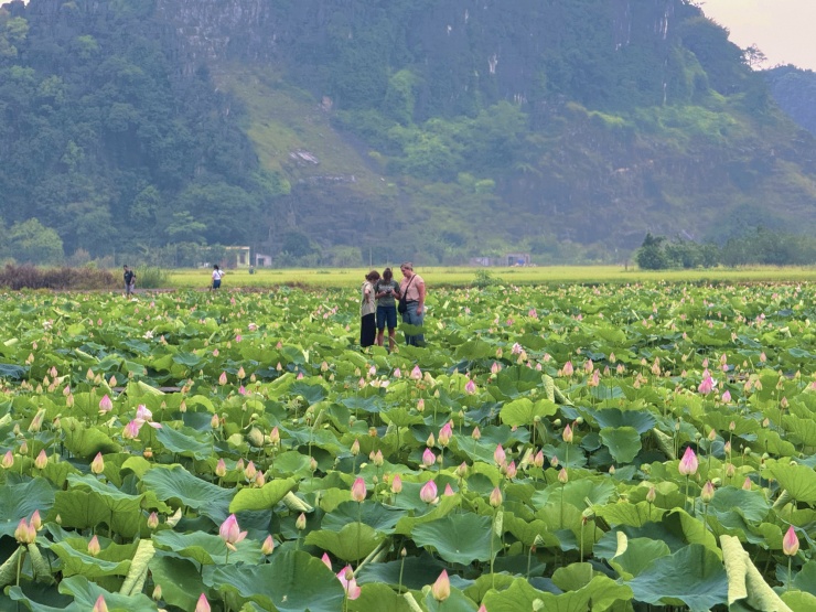 Đầm sen chưa kịp nở, hội mê ảnh đẹp đã ùn ùn đổ về Hang Múa check-in cực &#39;cháy&#39; - 19