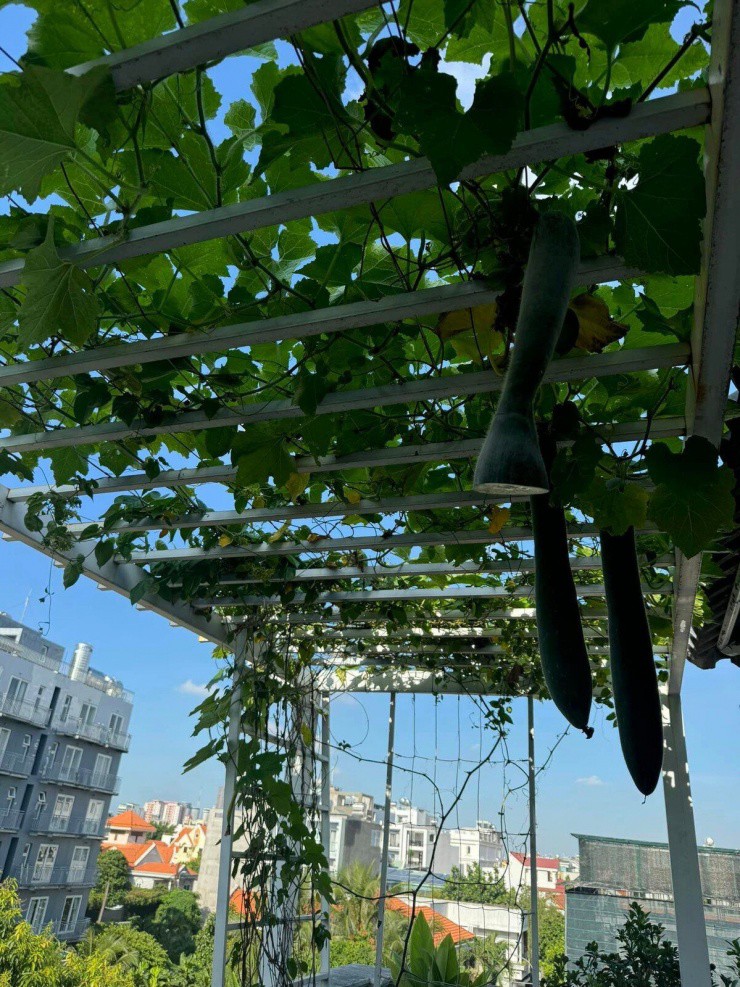 Hoa hậu Đền Hùng Giáng My ở biệt thự 1000m2 ăn đơn sơ toàn rau với tô hoa quả duy trì vẻ đẹp không tuổi - 10