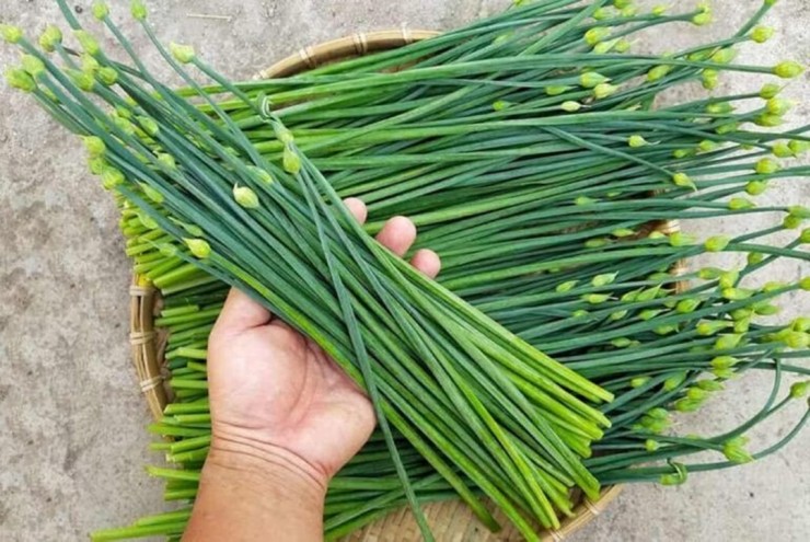Lá hẹ có tác dụng ôn trung, hành khí, tán ứ và giải độc. Ảnh minh họa.
