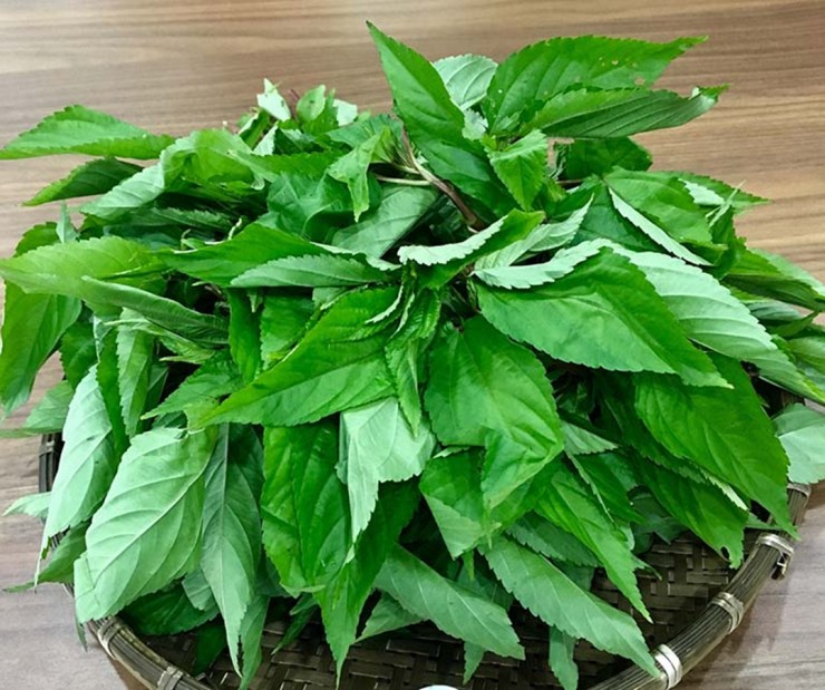 2 loại rau ít "ngậm" thuốc trừ sâu nhất chợ, cái số 1 rất quen - 2