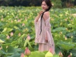 Đầm sen chưa kịp nở, hội mê ảnh đẹp đã ùn ùn đổ về Hang Múa check-in cực 'cháy'