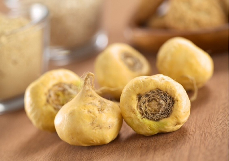 Loại củ có vẻ ngoài giống hệt củ cải ở Việt Nam này là củ maca, còn được gọi là Lepidium meyenii hoặc nhân sâm Peru, là cây bản địa ở Dãy Andes (Nam Mỹ) và đã được trồng trong hàng ngàn năm qua.
