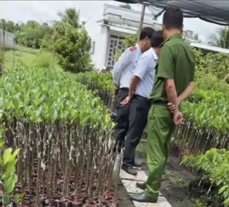 Đoàn liên ngành tỉnh Hậu Giang kiểm tra cơ sở kinh doanh cây giống trên địa bàn. Ảnh cắt từ clip