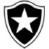 Trực tiếp bóng đá Botafogo - Seattle Sounders: Cân tài cân sức (FIFA Club World Cup) - 1