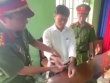 Lý do nguyên Chánh văn phòng HĐND, UBND huyện ở Bình Phước bị bắt lần 2
