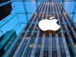 Apple gấp rút chuyển hướng sản xuất iPhone từ Trung Quốc sang Ấn Độ để tránh “cơn bão” thuế quan