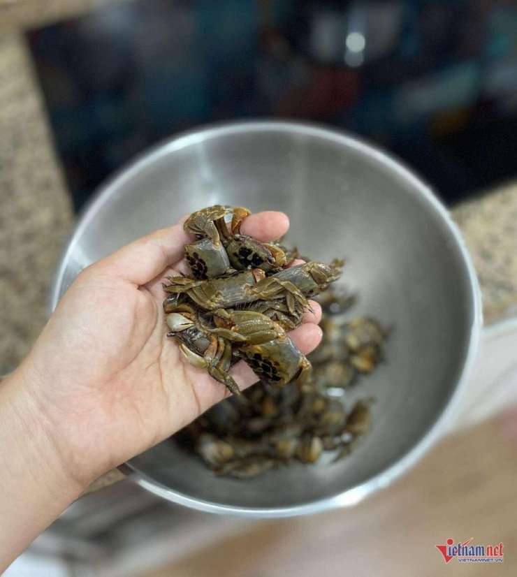 Con cáy gần giống con cua nhưng hôi hơn