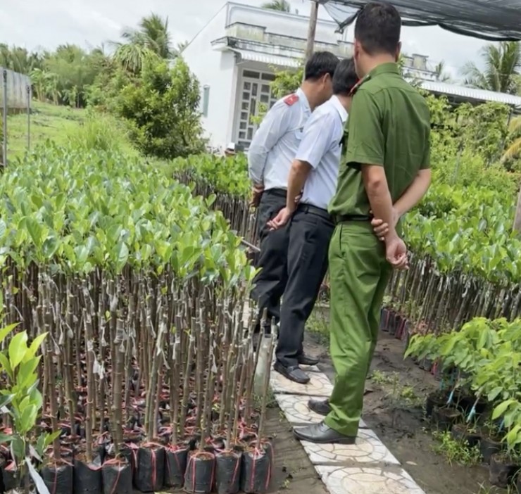 Đoàn liên ngành kiểm tra hoạt động sản xuất và kinh doanh tại một cơ sở cây giống ở Hậu Giang. Ảnh cắt từ clip.