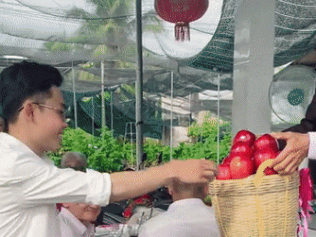 Dàn tráp ăn hỏi độc lạ từ vải, nhãn ở Bến Tre khiến khách bỏ tiệc chạy ra xem