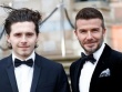 Phản ứng khó hiểu của con trai David Beckham khi bố được phong tước hiệp sĩ