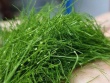 Thứ lá người Việt thường rắc lên gà luộc, không ngờ là loại rau chứa chất chống oxy hóa mạnh, bảo vệ hệ thần kinh